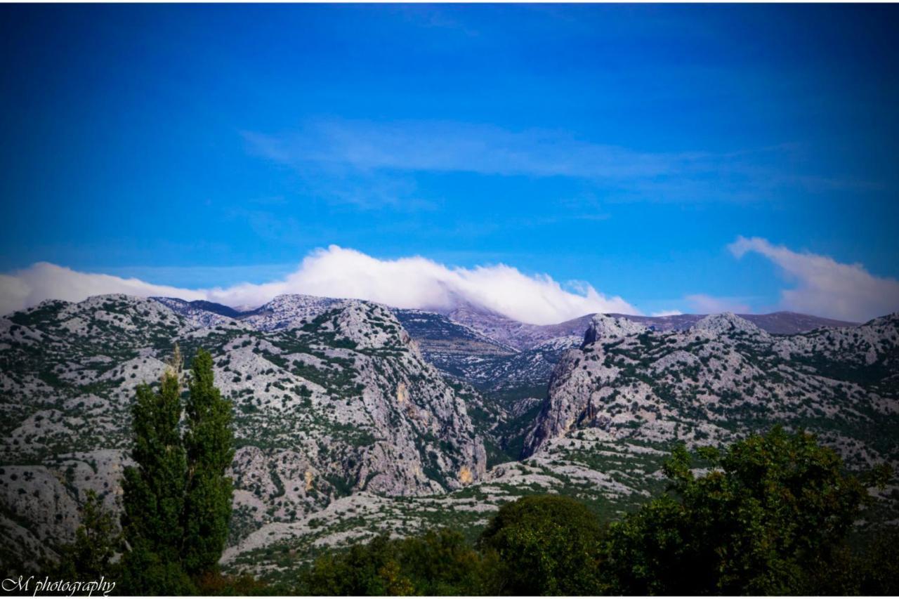 Apartments Adriana Starigrad Paklenica Dış mekan fotoğraf